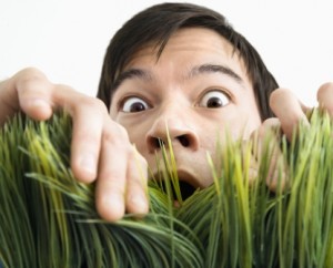 bigstock_Asian_young_man_looking_throug_12847715