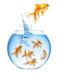 bigstock-A-goldfish-jumping-out-of-the--12762308
